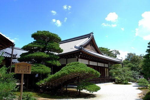 京都で気になる100のこと 3 金閣寺 きょうとにおいで